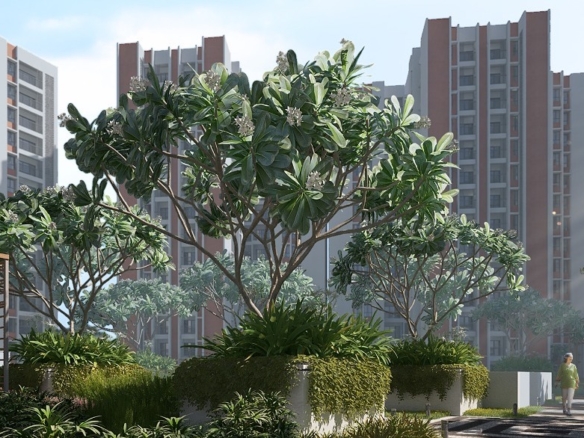 2 & 3 BHK - DTC Capital City - Watta Place