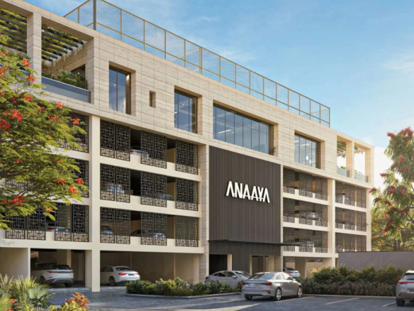 NPR Anaaya img 4