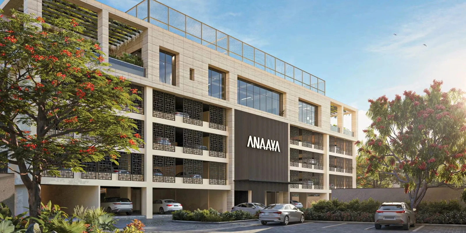 NPR Anaaya img 4