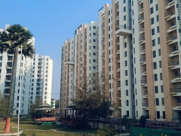 Solaris Shalimar